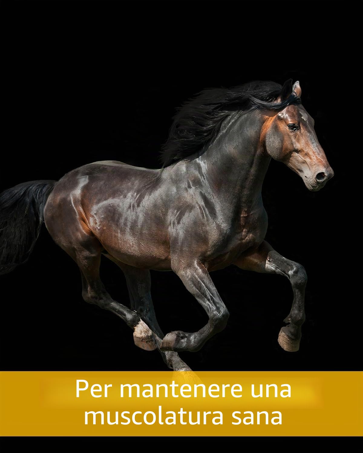 Equistro Excell E Powder 3 kg, complemento di mangime per cavalli
