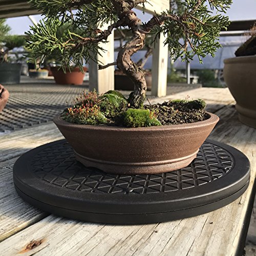 Mighty Mini Bonsai Tree Turntable 12.5" Base Stainless Steel Ball Bearings. Low Cost 200-Pound Capacity 360-Degree Rotation Allows Easy Pruning Or Great Bonsai Tree Displays #TOP4