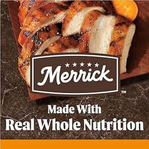 Merrick premium grain free dry grownup canine meals healthful and pure kibble with actual rooster and candy potato  22 0 lb Bag   cucciolini doodles