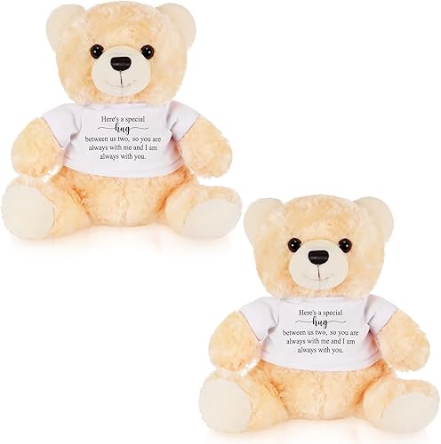 DEEKIN 2 piezas Here is a Special Hug Little Bear de peluche, oso de condolencia, regalo con ropa, regalo de abrazo de oso para niños, niñas,