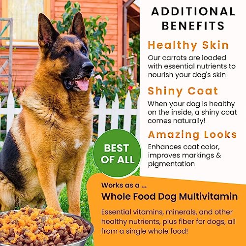 image for Olewo Original Carrots for Dogs – Fiber for Perfect Poop, Dehydrated