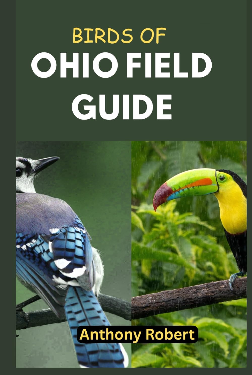 Birds of Ohio Field Guide: Discover 150+ Bird Species and Their Habitats Across Ohio