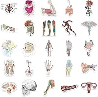 Vista 4 de Anatomy Pun Stickers Human Anatomy Sticker Water Bottle Stickers for Teens Waterproof Vinyl(50Pcs)