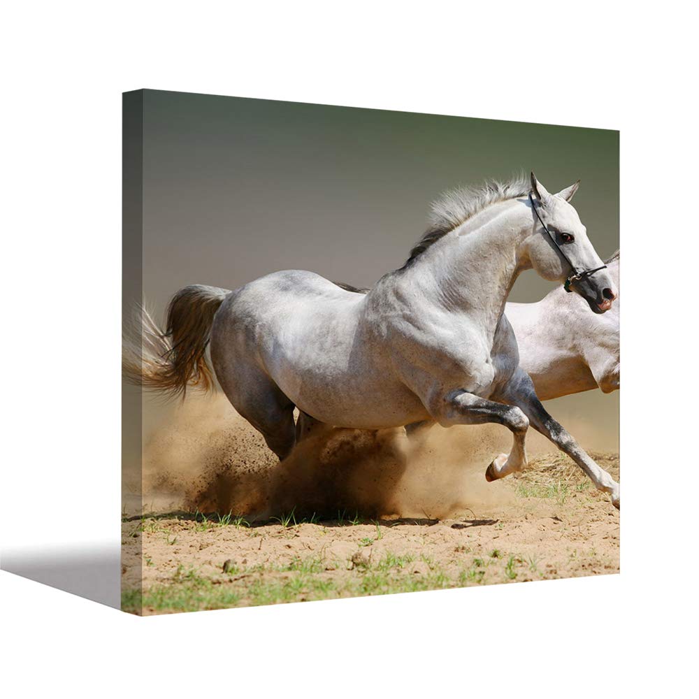 Buy Aart Store Digtal HD Printed Vastu Running Horse Canvas Painting