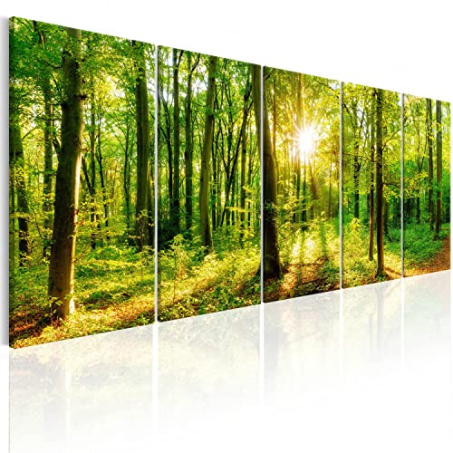 B&D XXL Acrylglasbild Wald 200x80 cm 5 Teilig Wandbild auf Acryl Glasbilder...