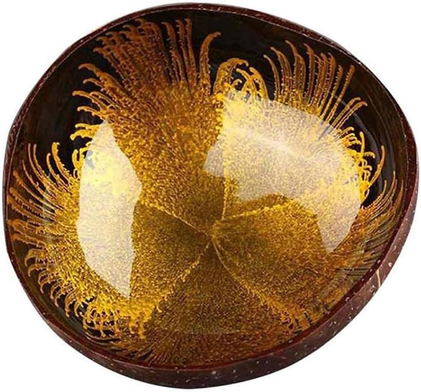 Amazon.com: DTOWER Coconut Shell Box Key Storage Coconut Bowl Storage ...