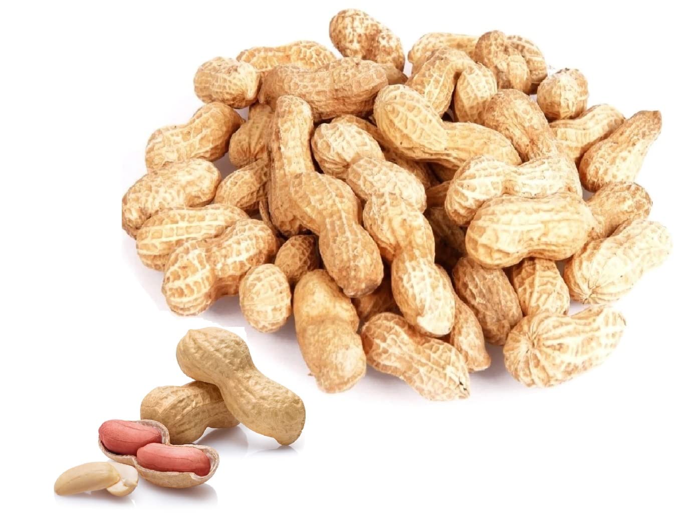 MONKEY NUTS Peanuts In Shell 2kg 1kg 500g 250g Parrot Hamster Squirrel ...