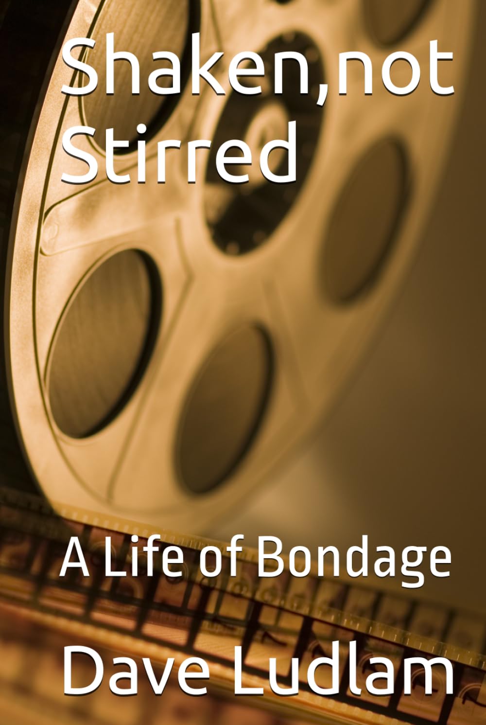 Shaken,not Stirred: A Life of Bondage