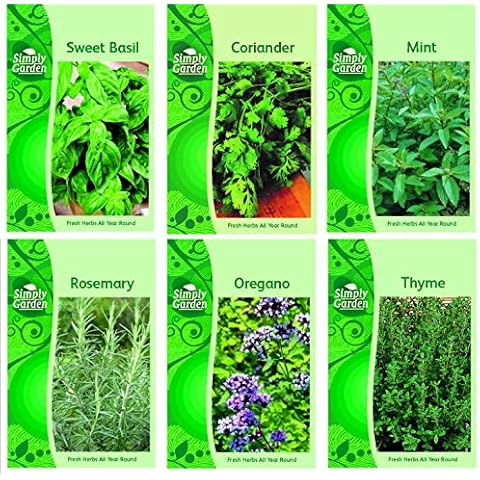 HERB COLLECTION 4 - Fresh Herb Seeds Cover