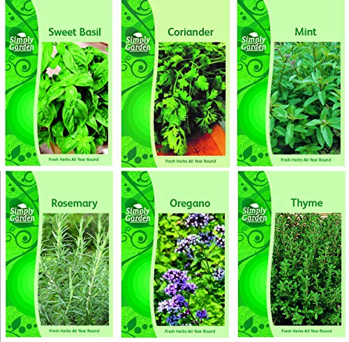 HERB COLLECTION 4- selection of 6 Fresh Herb Seeds Oregano Coriander Sweet Basil Mint Rosemary & Thyme