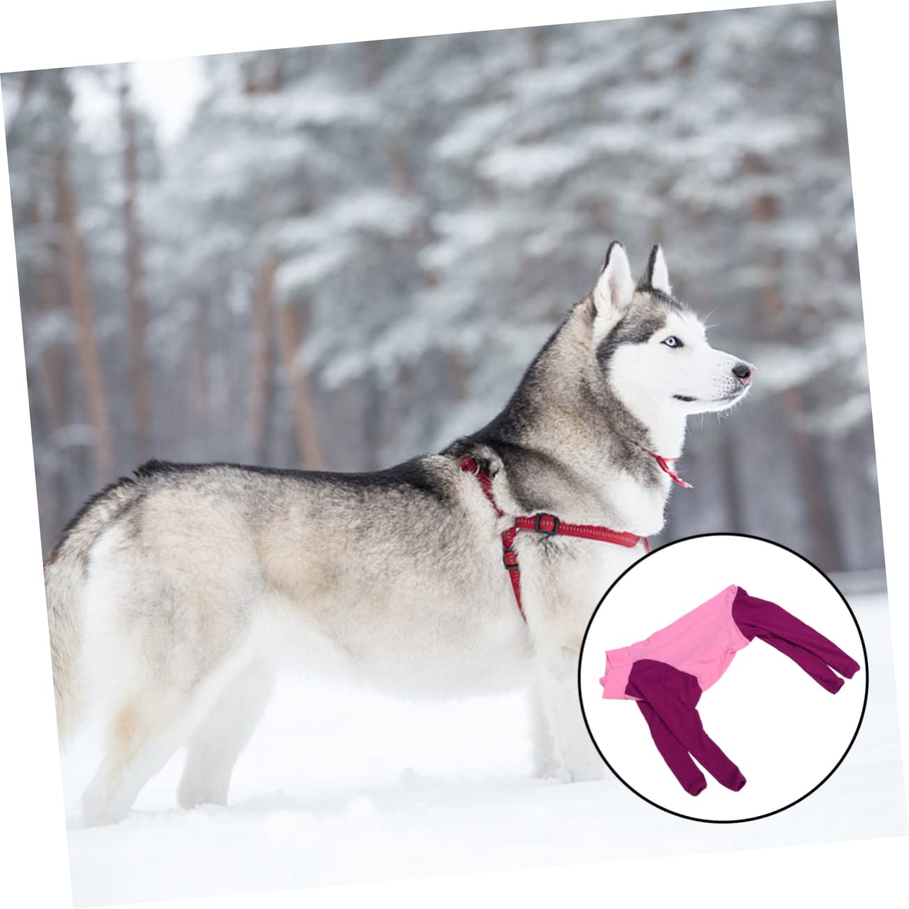 BESPORTBLE 3stücke Attraktive Hundekleidung Für Große Hunde Ganzkörperanzug Mit Vier Beinen Schützend Gegen Haarverlust Kalte Tage Und