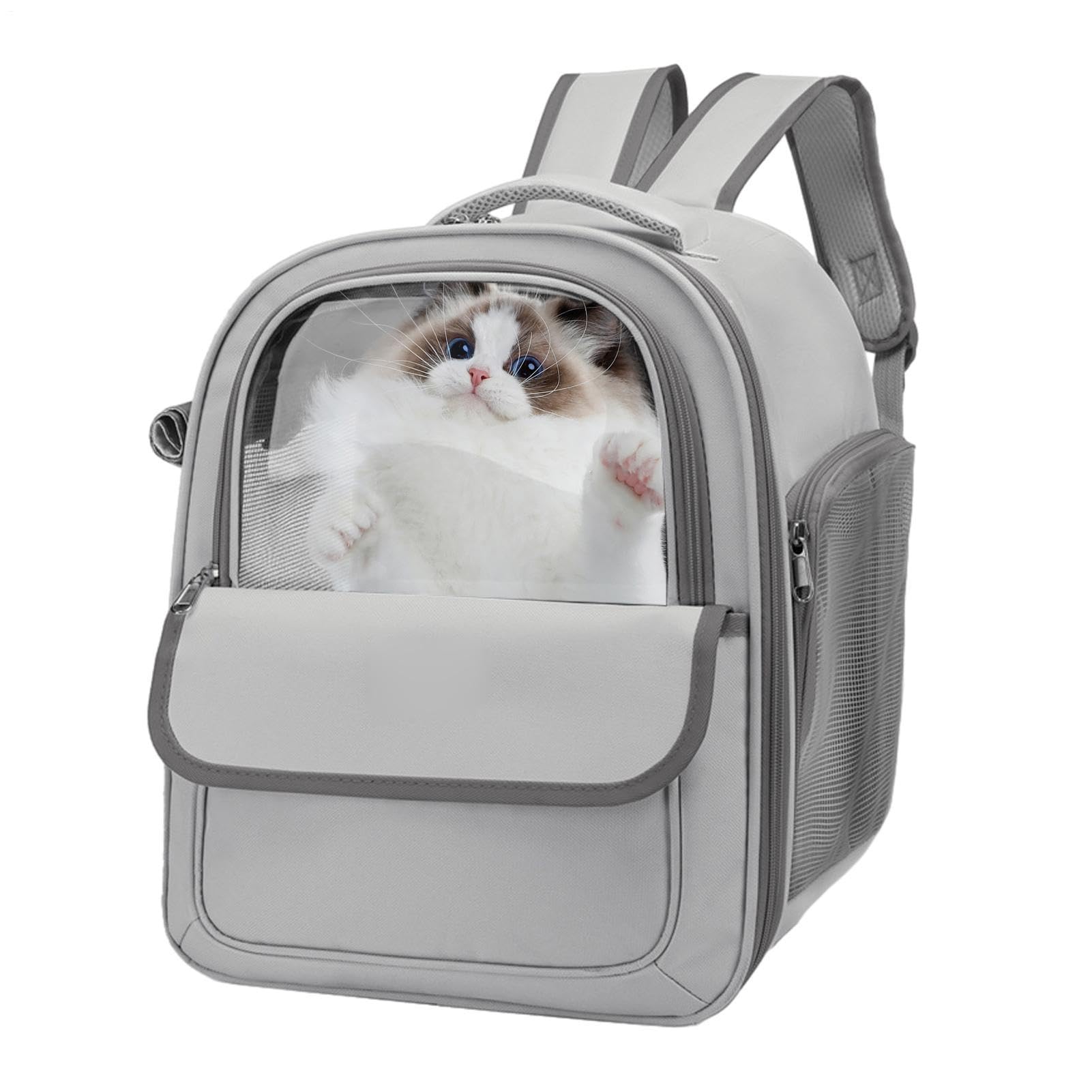 Zaino per gatti, zaino a bolle per animali domestici Zaino porta cani di