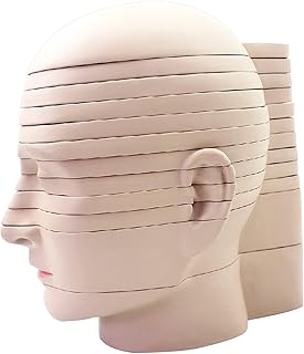 12PCS Human Head and Brain Cross-Section Model Brain Model with Slice Horizontal Section Clear Anatomy Logo Human Body Model Removable Anatomy Model(Color:A,Size:10in)