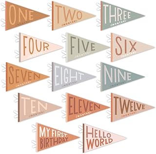 Lucy Darling Petit Milestone Pennants – Baby Monthly Milestone Pennant Flags – Newborn Photo Props & Felt Nursery Decor – Keepsake Banner Set for Baby Photos – Mountain Fields