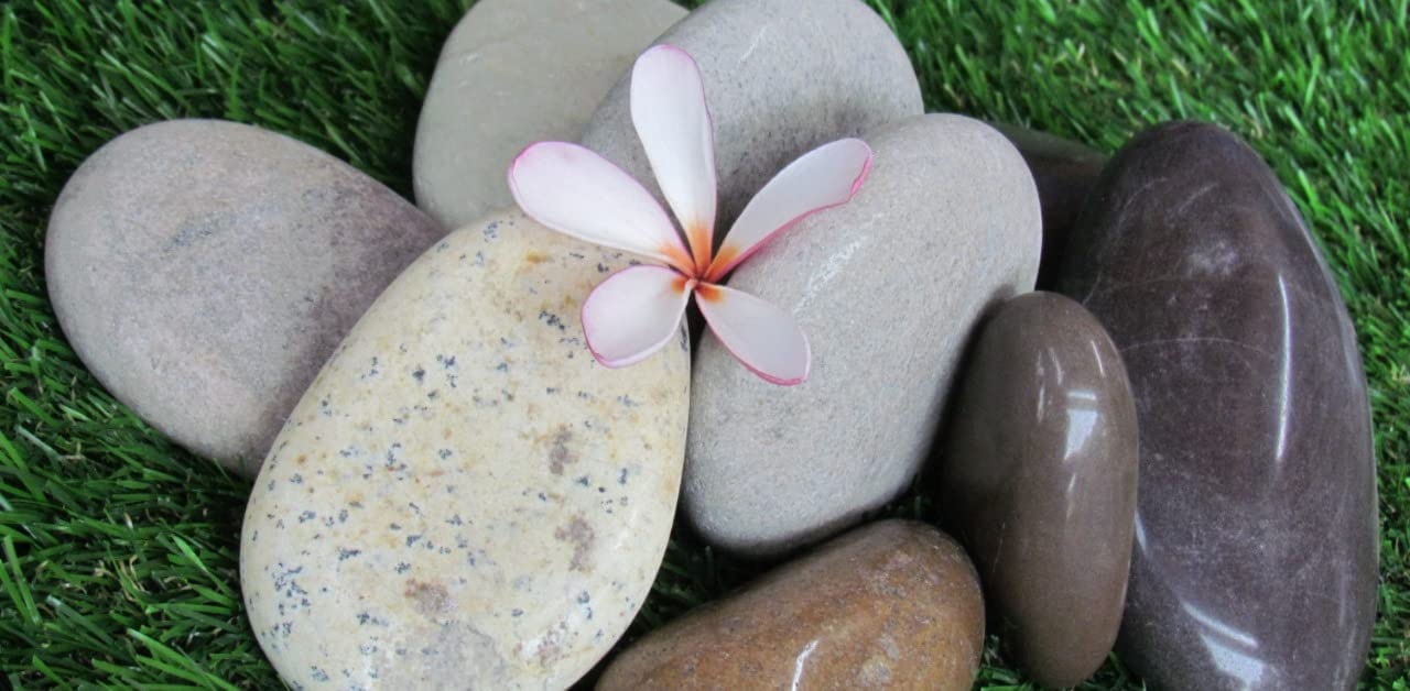 FOX & FERN Home Decorative, Stone Polished Mixed Big Natural Stones for Plants Mixed Polished Big Pebbles Rainforest Stones Garden Succulent Decor for Outdoor Aquarium, (1”-3”) (5kg) (Brown Big)-image-7