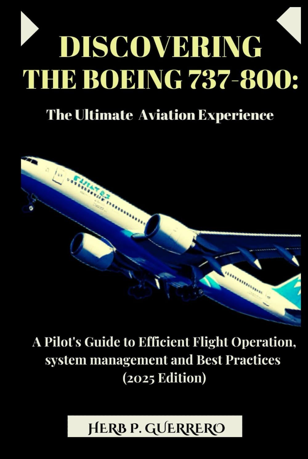 DISCOVERING THE BOEING 737-800: THE ULTIMATE AVIATION EXPERIENCE: A Pilot's Guide to Efficient Flight Operation, system management and Best Practices (2025 Edition)