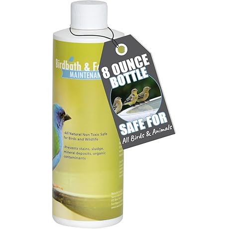 Bird Bath Safe Paint