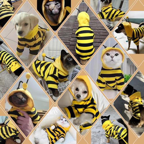 Costume chats sans poils pull hiver chaud chemises gilet chat L