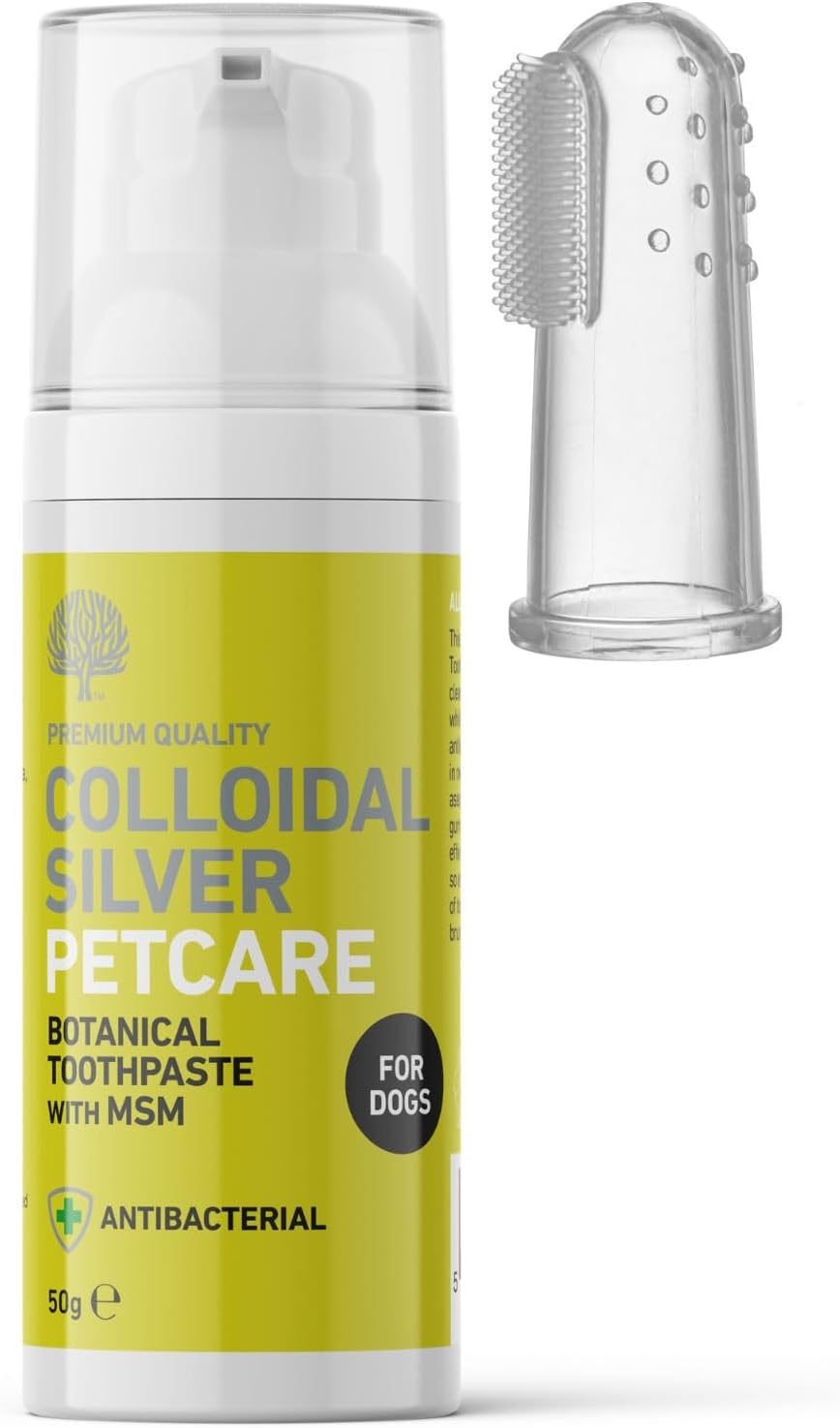 Natural Dog Toothpaste 50g with Colloidal Silver & MSM - Fresh Peppermint Flavour - Vegan & Antibacterial Formula - Supports Gum Care & Oral Hygiene - UK Made
