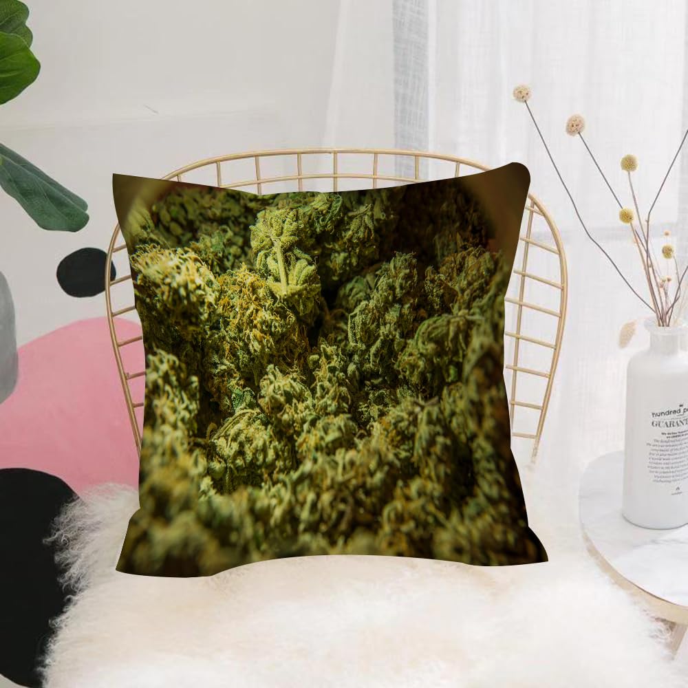 HYOSXW Cushion Cover,Throw Pillow Case Home Decorative for Living Room Bedroom Sofa Chair 16X16 Inch,Green Moss used for decoration,Pillowcase 40X40cm