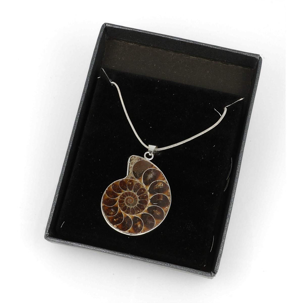 Serafino Collana con ciondolo a forma di ammonite in confezione regalo con cristalli di guarigione e gioielli fossili di milioni di anni