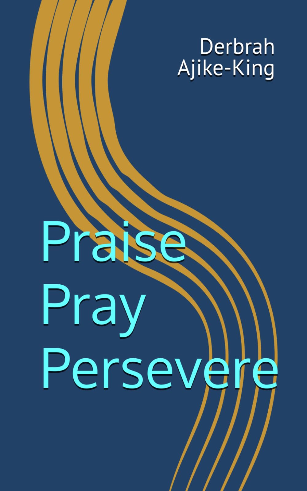 Praise Pray Persevere
