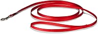 PetSafe Nylon Dog Leash 3/8" x 6' - Durable Strong Traditional Leash with Easy Bolt Snap for Small Medium Large Dogs Red