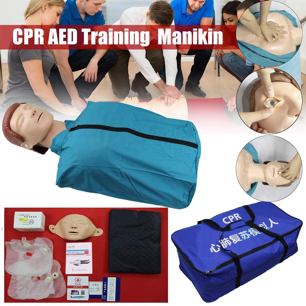 Buy Manikin Cardiopulmonary Resuscitation Simulator, Adult CPR Training
