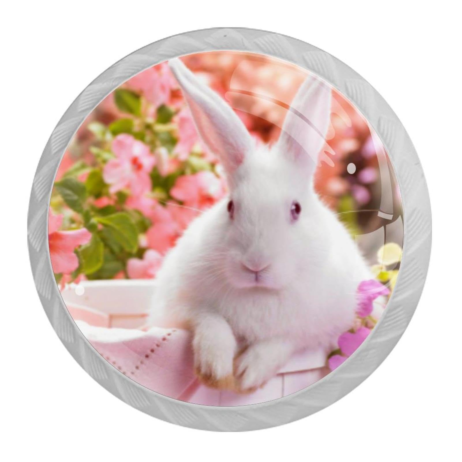Tqmspg Multi Bunny Rabbit