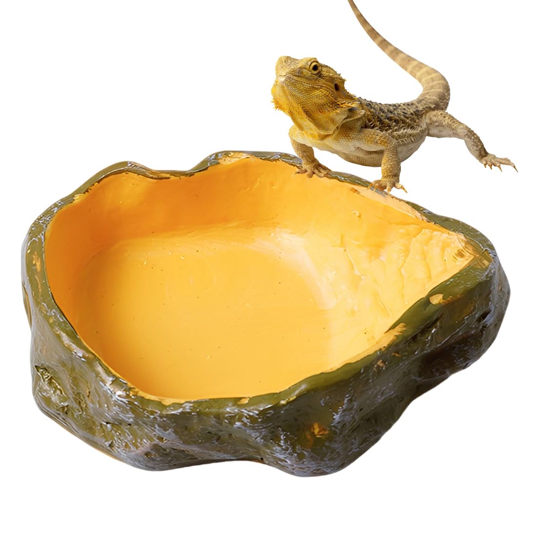 1 Unidad Comedero para Terrario Tortugas, Cuencos de Agua y Alimentos de PVC, para Reptiles como Lagartos, Geckos, Camaleones y Tortugas, Color Amarillo