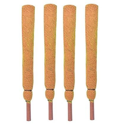 TrustBasket 2 Feet Coir Moss Stick/Coco Pole for Climbing Indoor & Outdoor Plants (Set of 4)| Green Grass Pole for HOUSING Plants, Creeper Support|Moss Stick