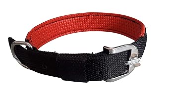 Buyagain Dog Belts for Big Dogs - 1 inch Padded Collar- Dog Collar Adjustable Neck Size 62-80 cm Specially for Heavy & Large Breed - pata for Dogs Collar