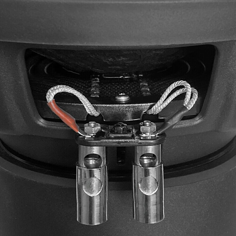 1 SUBWOOFER pour Bass Face INDYS10/2 Indy S10/2 25,00 cm 250 mm 10" de diamètre, Double Bobine dvc 2+2 ohm, 1000 Watt rms 2000 Watt Max, pour Voiture, 1 pièce