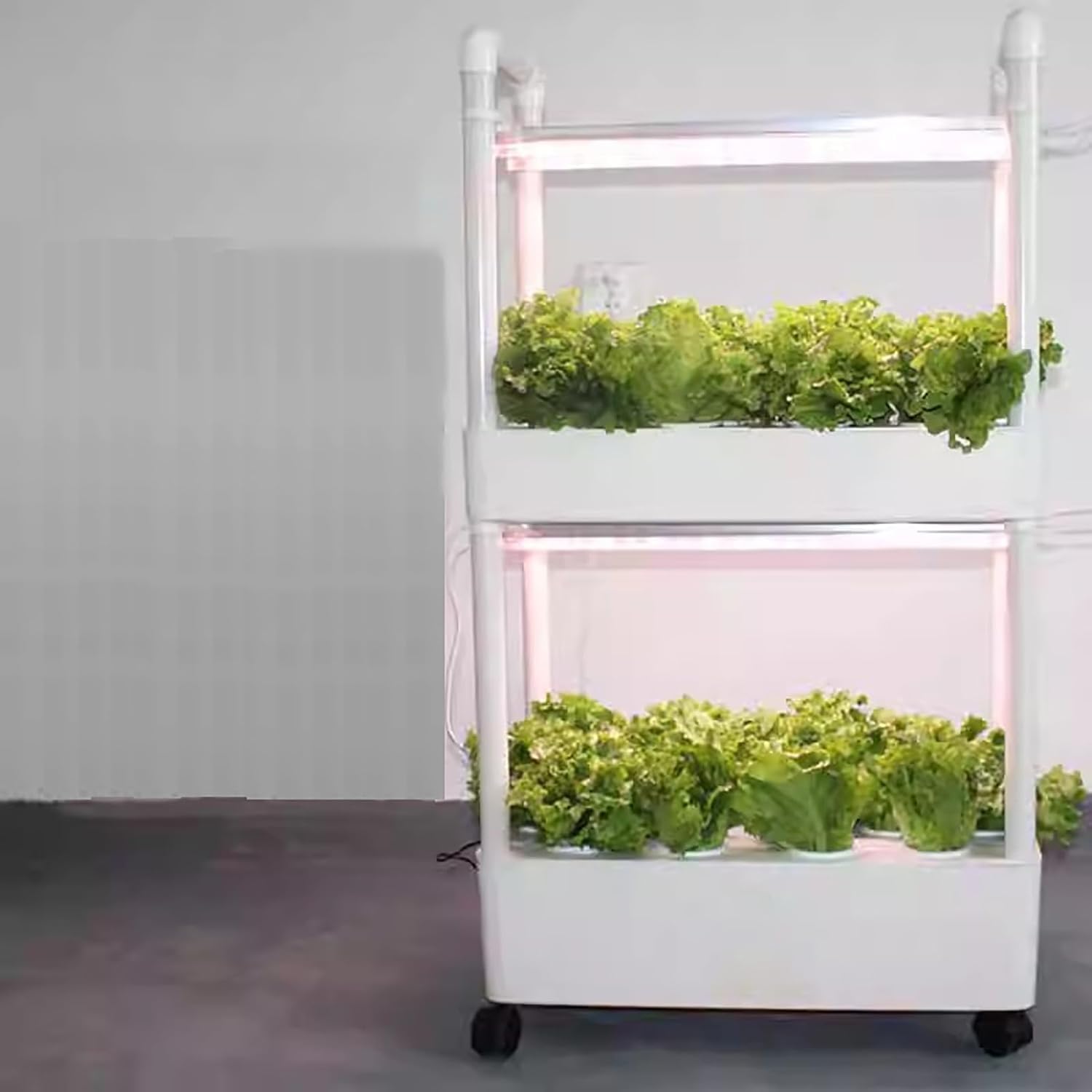 Sistema de cultivo hidropónico con luz LED de cultivo para jardín de hierbas de interior, adecuado para cultivar hierbas, frutas y verduras
