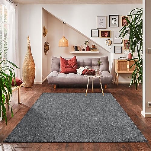 Carpettex Teppich Wohnzimmer Kurzflor Teppich Modern Einfarbig Design 120 x 170 cm Teppich Grau -...