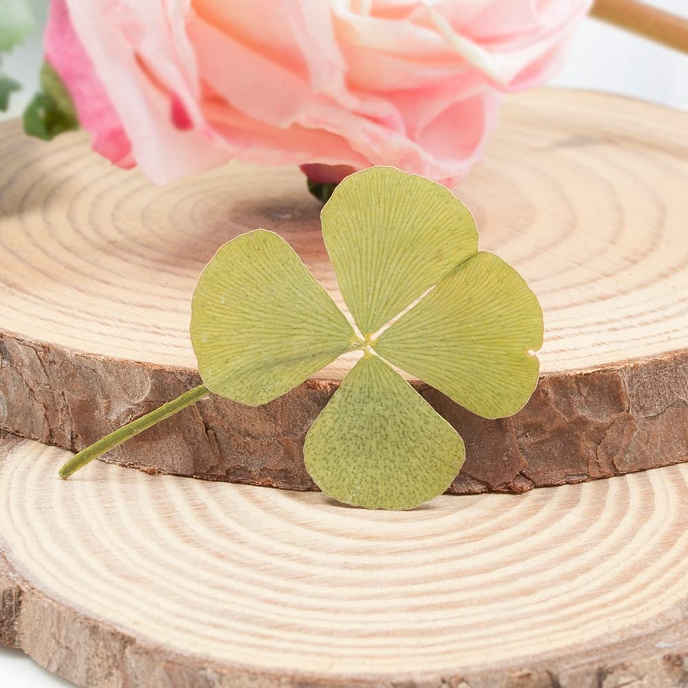 BeLeaf Art – duurzame botanische sieraden met echte bloemen