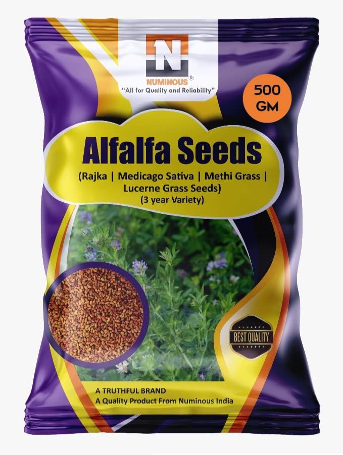 Numinous Alfalfa, Alfa Alfa, Lucerne, Medicago Sativa, Lucerne, Methi, Rajka 3 Sali Fodder Grass Seeds (3 Year Variety) - 500 GMs (B099QQ81P1) Amazon Price History, Amazon Price Tracker