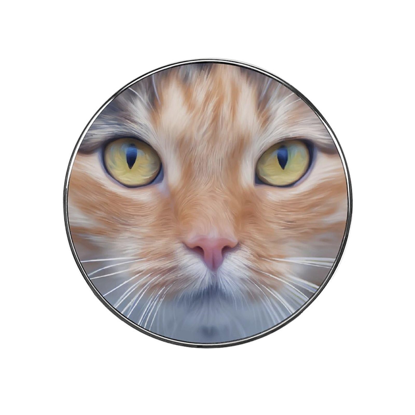 Animal Cat Refrigerator Magnet Decorative Locker Magnet For Kitchen And Office Home Décor