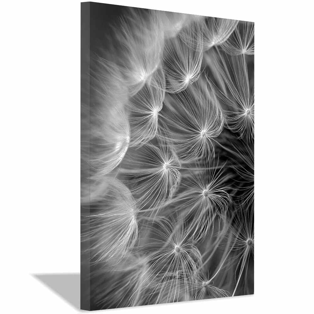 Huyeei Black And White Black White Abstract Art Canvas Paintings Dandelions Grey Neutral Wall Art For Living Room, For Bathroom Hallway, Bedroom Etc.(Black And White)-60X90cm Framed