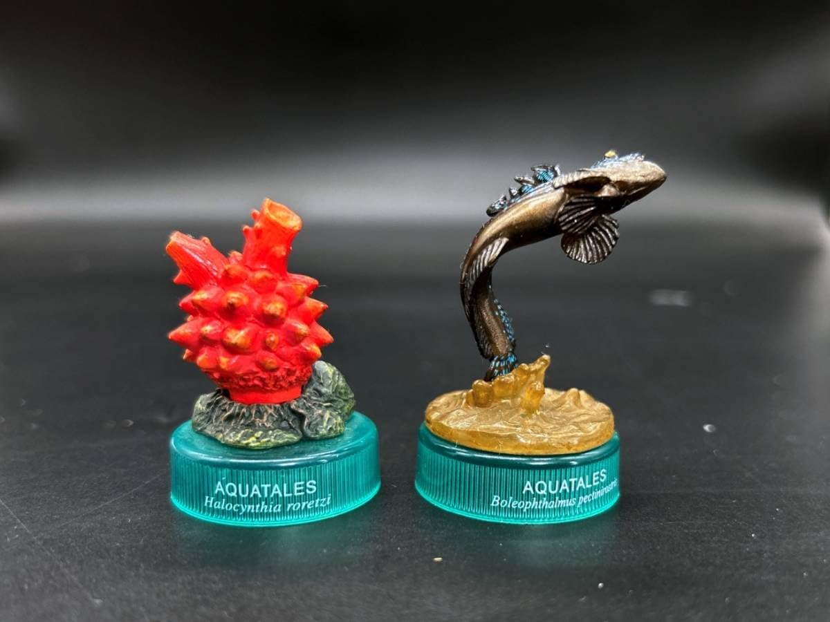 Amazon.co.jp: 〓海洋堂〓九州物産展 ムツゴロウ・みちのく物産展 ホヤ 