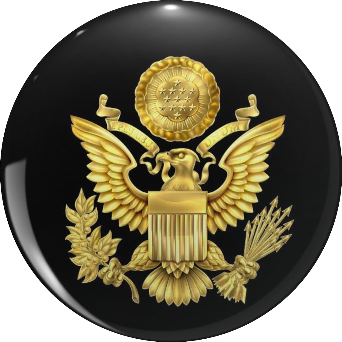 US Presidential Seal Eagle Lapel Bin Brooch Badge Pin 0.75