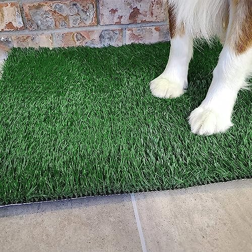 Dog Grass Pet Loo Indoor/Outdoor Portable Potty, Dog Litter Box, Artificial Grass Patch Bathroom Mat and Washable Pee Pad for Puppy Training, Full System with Trays (Pet Training Tray, 20"x16") - Image 6