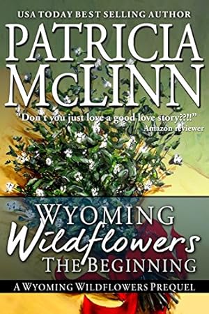 Wyoming Wildflowers: The Beginning (Wyoming Wildflowers, Book 1): A love at first sight Christmas romance