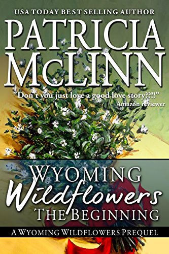 Wyoming Wildflowers: The Beginning (Wyoming Wildflowers, Book 1): A love at first sight Christmas romance