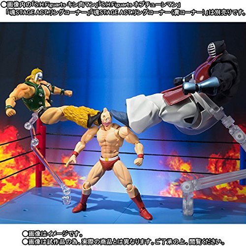 Amazon.co.jp: バンダイ(BANDAI) S.H.フィギュアーツ ビッグ・ザ・武道 