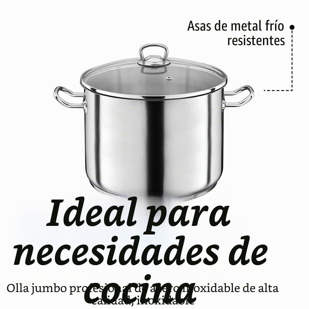 GSW 643450 - Olla grande profesional con tapa de cristal 28 x 19 cm / aprox. 12,0 L, de acero inoxidable, plateada, 42 x 29,5 x 20,5 cm, 2 unidades
