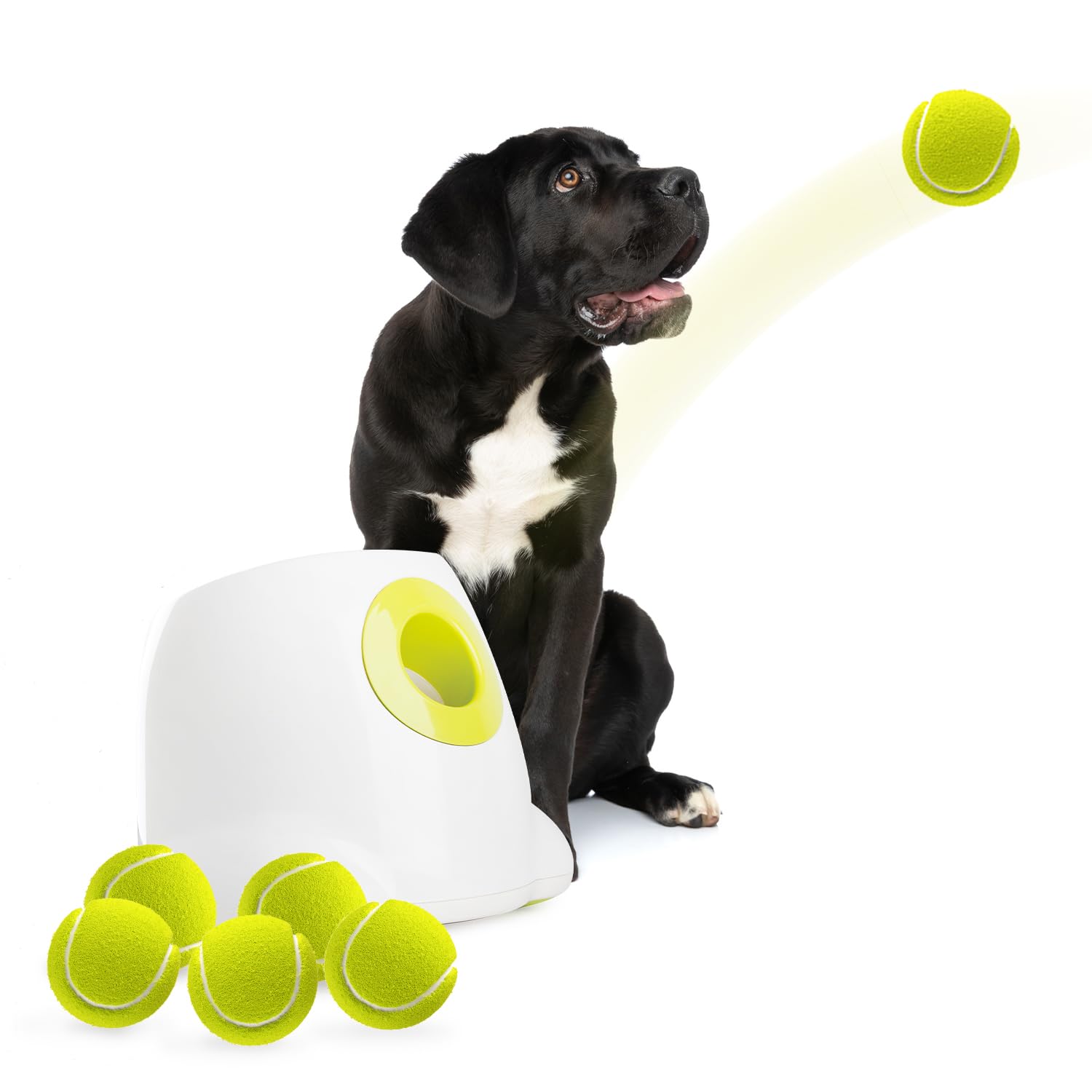 ALL FOR PAWS Automatic Dog Ball Launcher Maxi, Interactive Ball Thrower Dog Toys Includes 6pcs Tennis Balls for Large Dogs