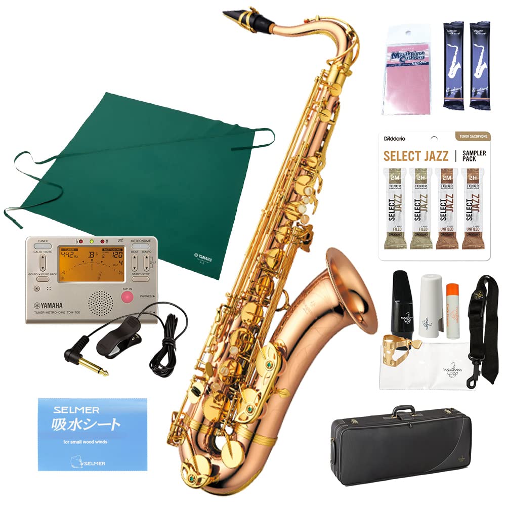 Amazon | YANAGISAWA T-WO2 テナーサックスセット ヤナギサワ 