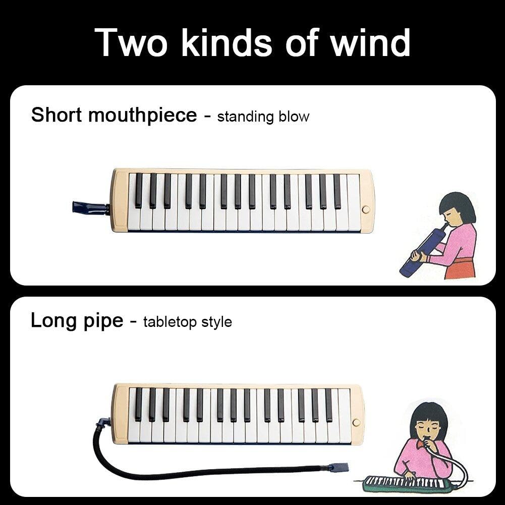 Instrument mélodica à 32 Touches Clavier mélodica Professionnel Portable pour débutant Formation Musicale