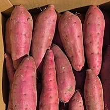 Potatoes, Red Azuma, 11.0 lbs (5 kg), Produced in Ibaraki Prefecture, Potato Sweets, Hokuoku, Fall Taste, Aged Potatoes, Order